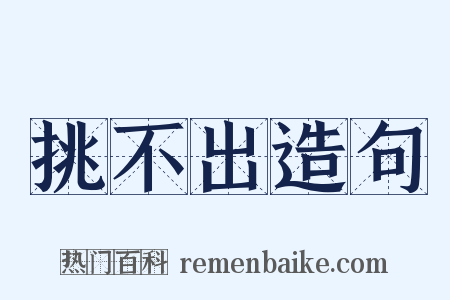 挑不出造句是什么意思的图片